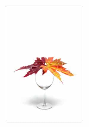 2leaves-in-a-glass