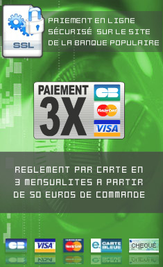 Payment 3X